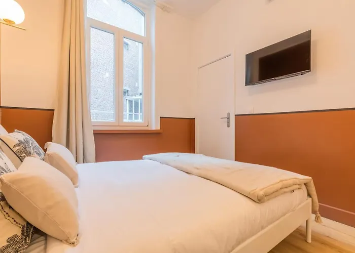 Affittacamere 5-bedroom House In The Centre Of Lille.