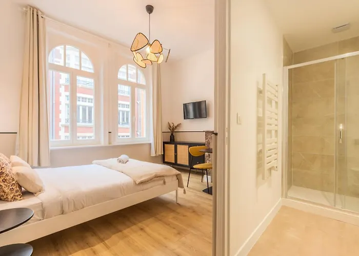 5-bedroom House In The Centre Of Lille. Lilla