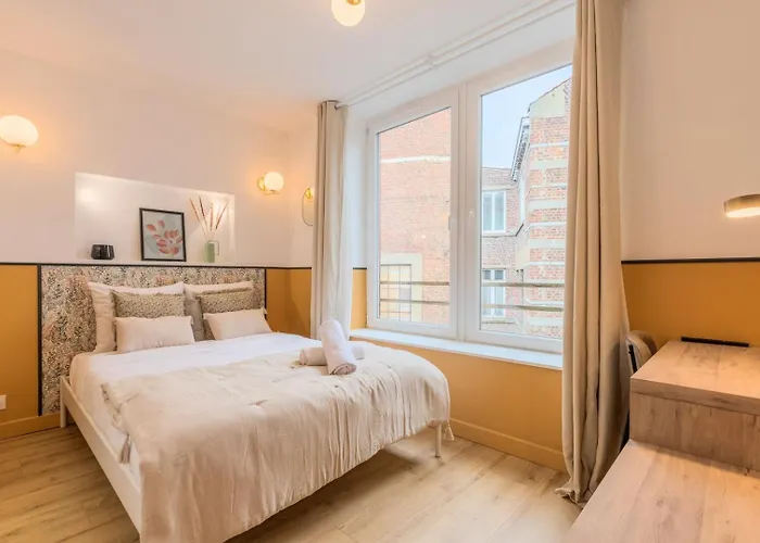 5-bedroom House In The Centre Of Lille. 4*